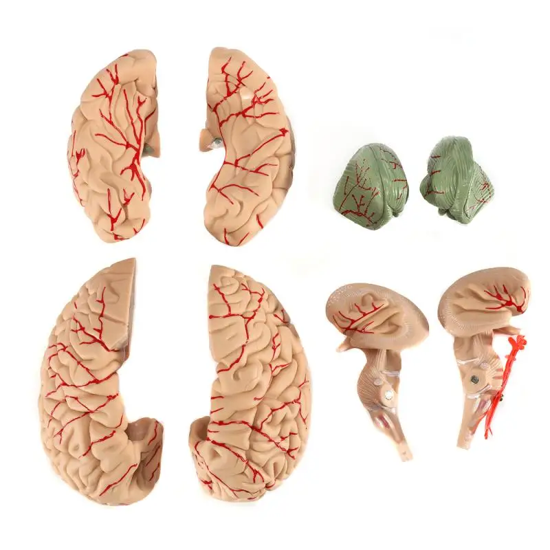 La relación entre la crema solar y los rayos ultravioleta.