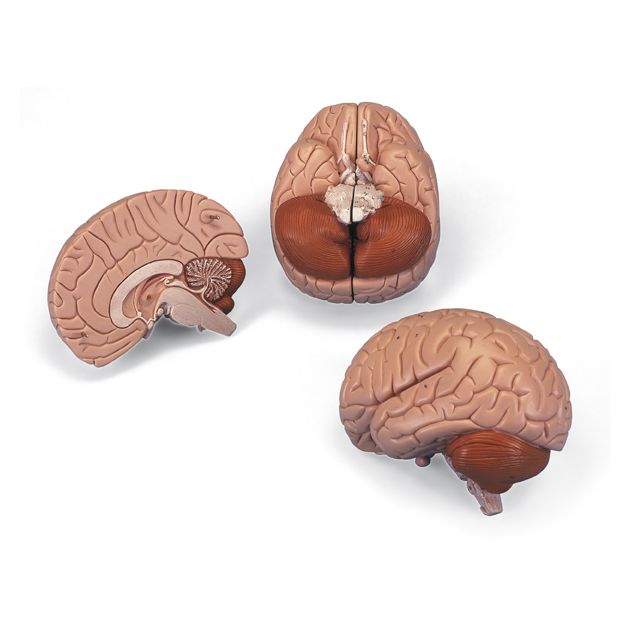 Si la silla de ruedas eléctrica no se utiliza durante un período prolongado, ¿Es necesario cargar y descargar la batería de litio?