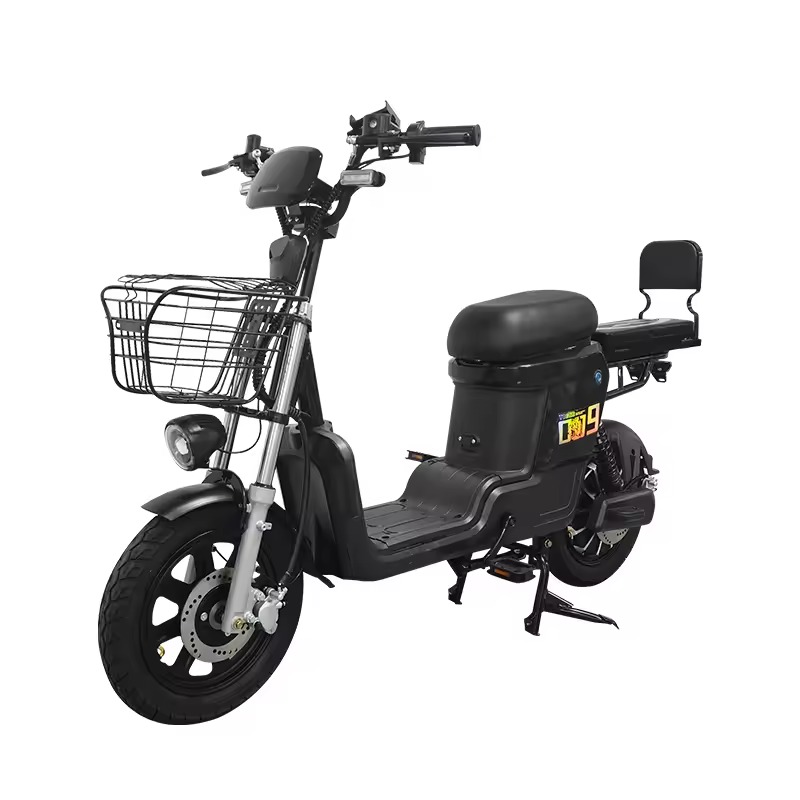 A Guide to Using Wild Growth Hair Oil