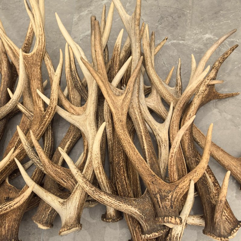 Protect Your Stuff: A Guide to Water Proof Spray